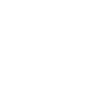icon1 icon1